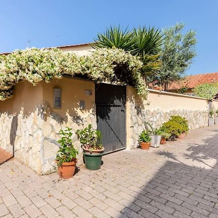 Apartament Casa “Oasi Del Mare” Livorno Zewnętrze zdjęcie